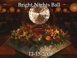 2008-11-15 Bright Nights