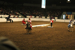 2010-11-12 Pfizer Fantasia Equine Affaire